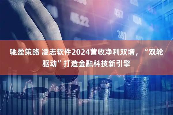 驰盈策略 凌志软件2024营收净利双增，“双轮驱动”打造金融科技新引擎