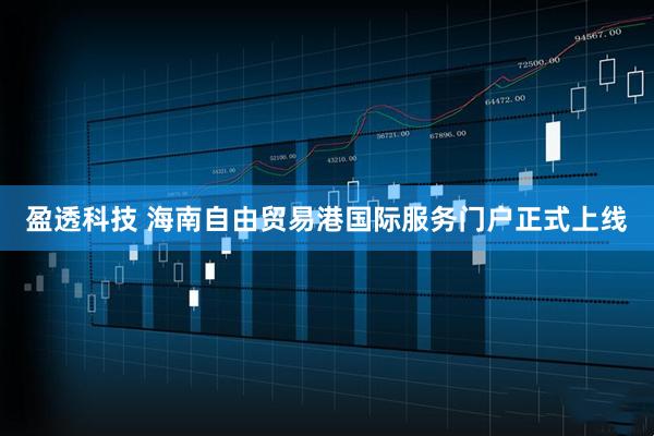 盈透科技 海南自由贸易港国际服务门户正式上线