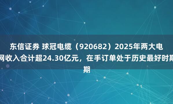 东信证券 球冠电缆（920682）2025年两大电网收入合计超24.30亿元，在手订单处于历史最好时期